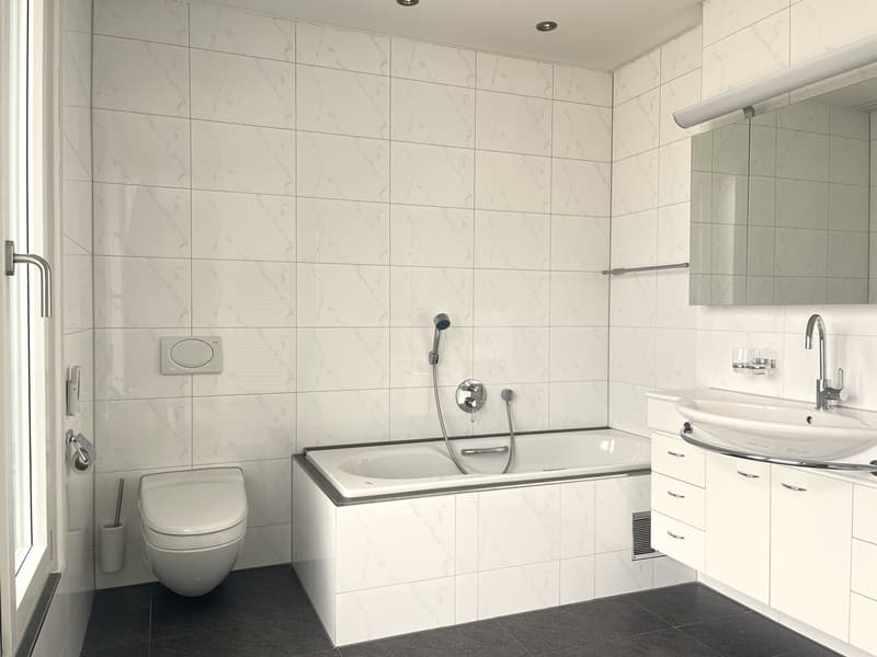 Spacious living on the outskirts of the city (7)