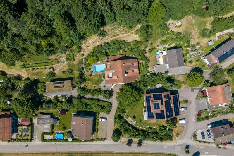 Una casa speciale per fiorire (3)