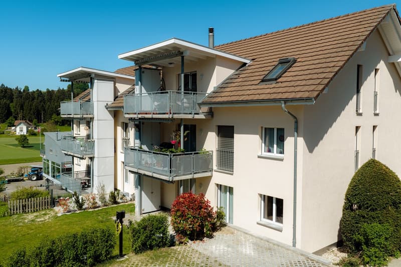 Ruhige 4½-Zimmer-Gartenwohnung in familienfreundlichem Quartier (2)