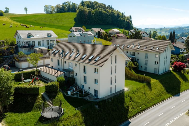 Grosszügige 3½-Zimmer-Gartenwohnung mit Hobbyraum (6)