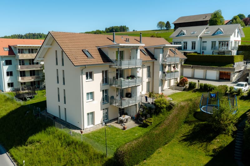 Charmante 4½-Zimmer-Dachwohnung (8)
