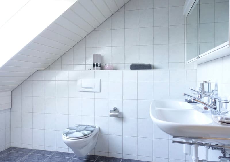 4½-Zimmer-Dachwohnung mit Charme und Schwedenofen (10)