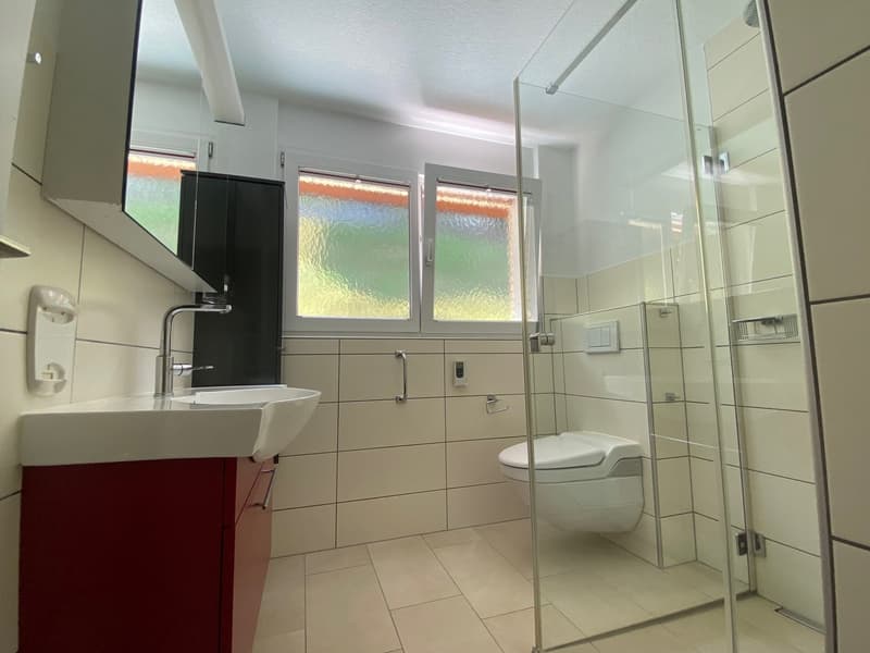 WC und Dusche im Erdgeschoss