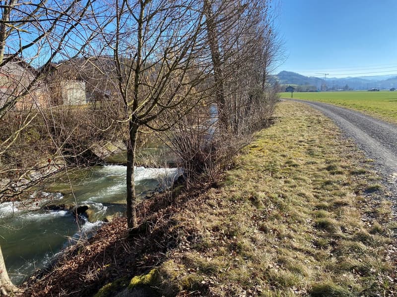 Die Natur vor der Tür.