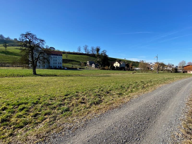 Hier finden Sie zahlreiche Pflanzen und Tiere