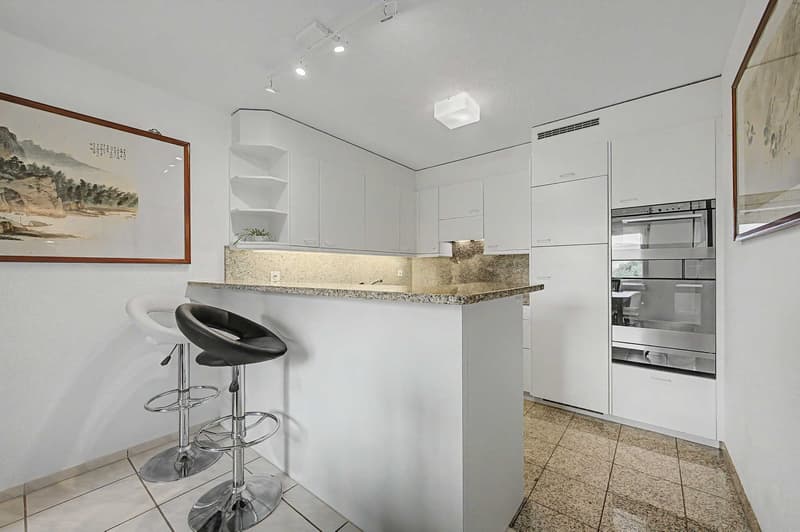 City-near living comfort with balcony, chimney & view of the green (5)