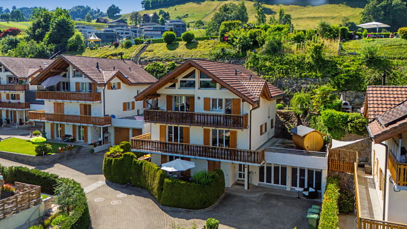 Privacy & Panorama - exceptional maisonette in Meierskappel (1)