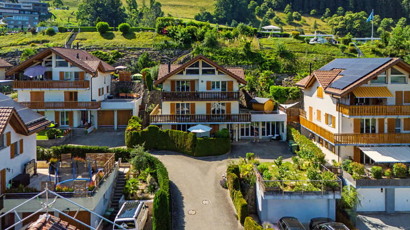 Privatsphäre & Panorama - aussergewöhnliche Maisonette in Meierskappel (1)