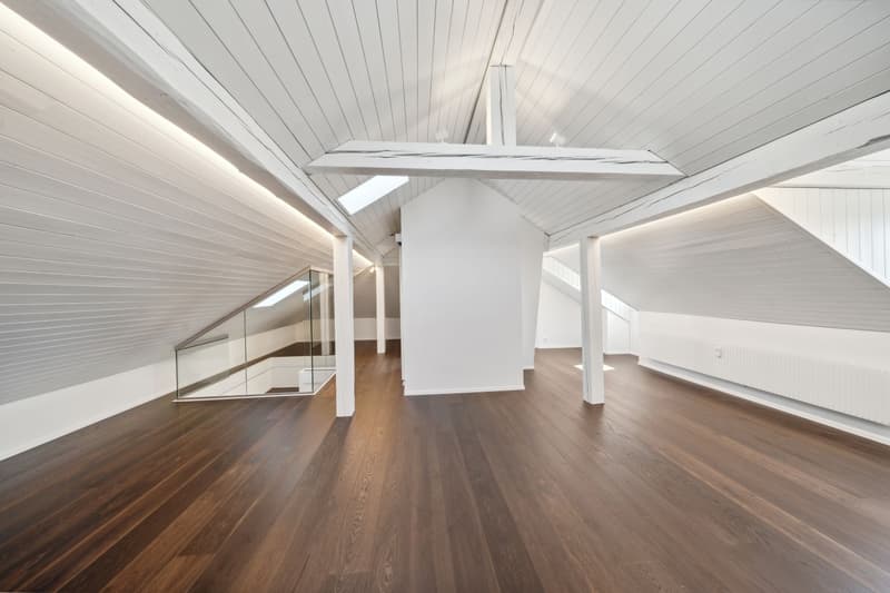 Luzern: Neu ausgebaute 4.5 Zimmer Maisonettewohnung mit Pilatusblick (7)