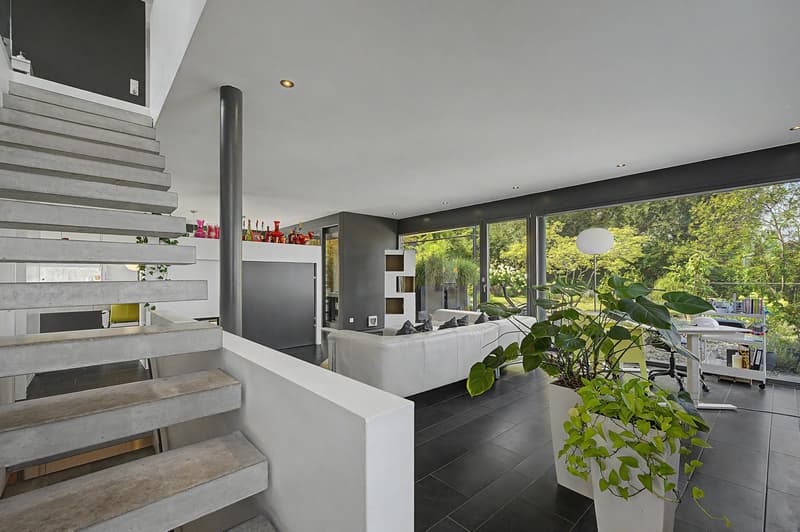 Architektur trifft Natur - grosszügiges Einfamilienhaus mit Einliegers (3)