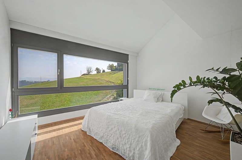 Architektur trifft Natur - grosszügiges Einfamilienhaus mit Einliegers (5)