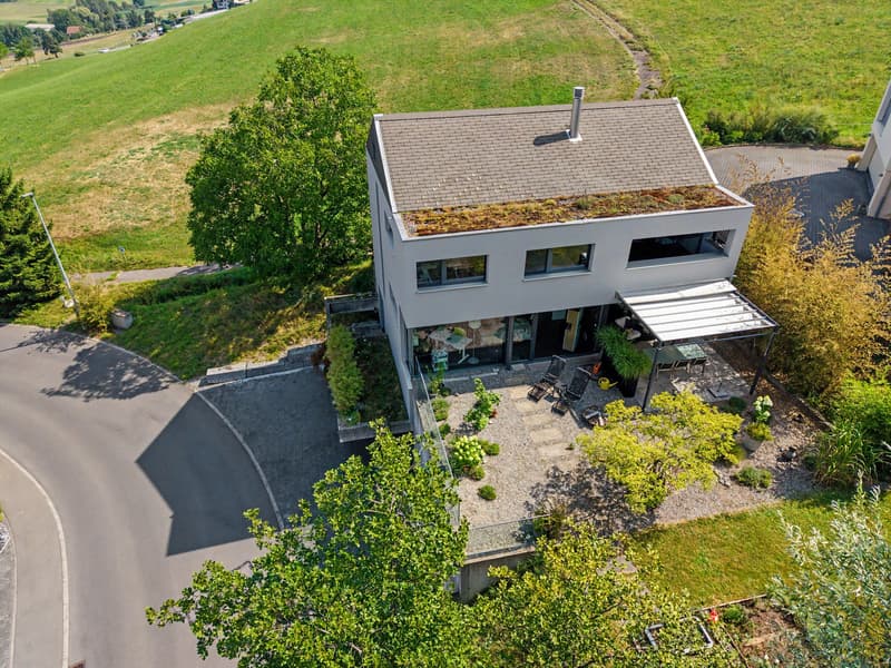 Zwischen Luzern & Zug: Grosszügiges Einfamilienhaus mit Einliegerwohnu (1)