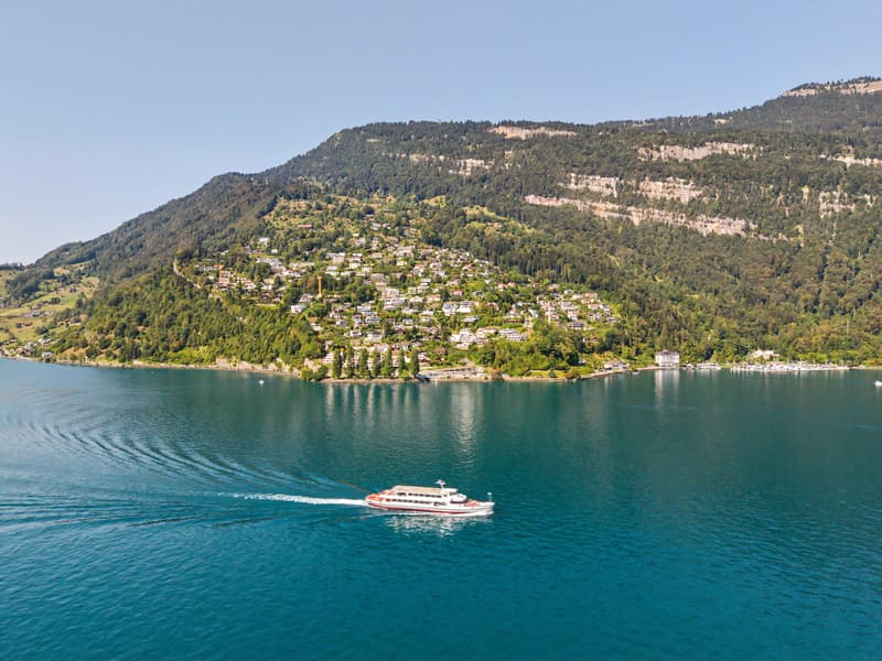 Terrassenwohnung mit traumhaftem Blick auf Vierwaldstättersee & Berge (5)