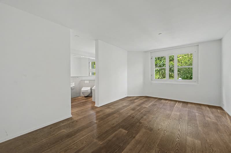 Attraktive Gartenwohnung mit Potenzial  in begehrtem Luzerner Quartier (4)