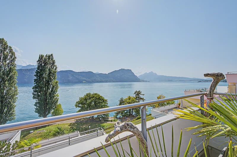 Terrassenwohnung mit traumhaftem Blick auf Vierwaldstättersee & Berge (1)