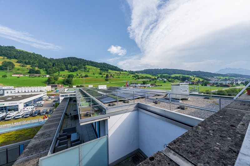 Sonnige Maisonette-Loftwohnung (8)