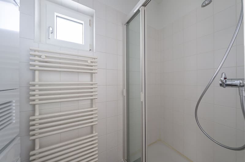 Sonnige Maisonette-Loftwohnung (6)