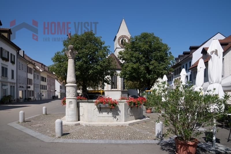 Character house with 340 m² - living, working, life (13)