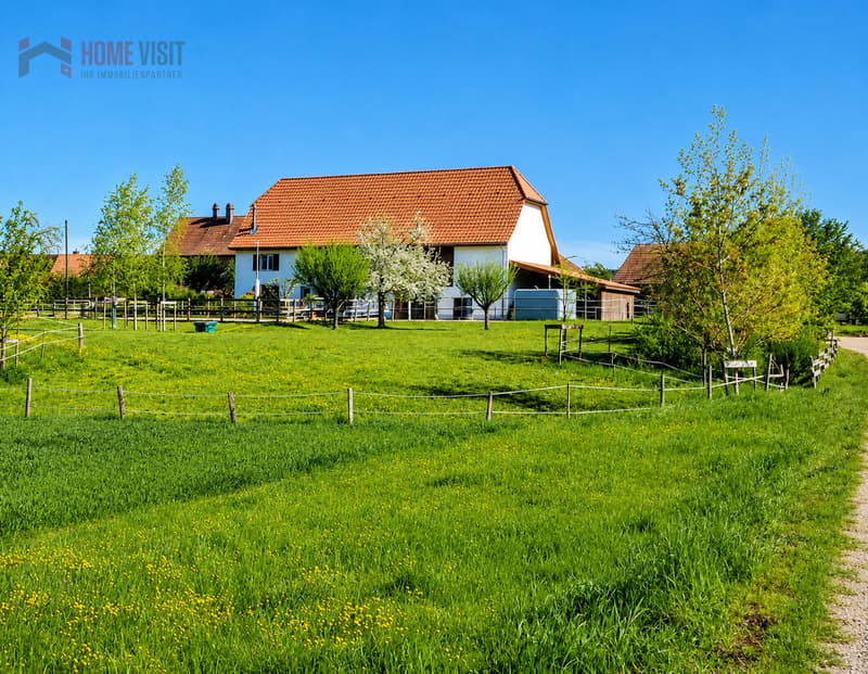 Über 3'000 m² eigene Weidefläche