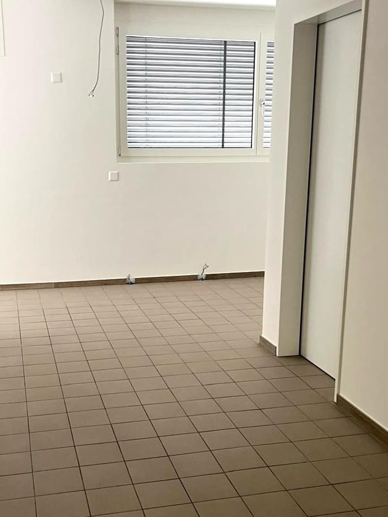 Büro-/Geschäftsraum an zentraler und gut sichtbarer Lage (3)