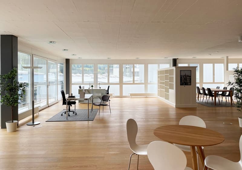 Helle Büro-/Gewerbefläche mit Sitzungszimmer, Küche und Nasszelle (WC und Badewanne) (3)