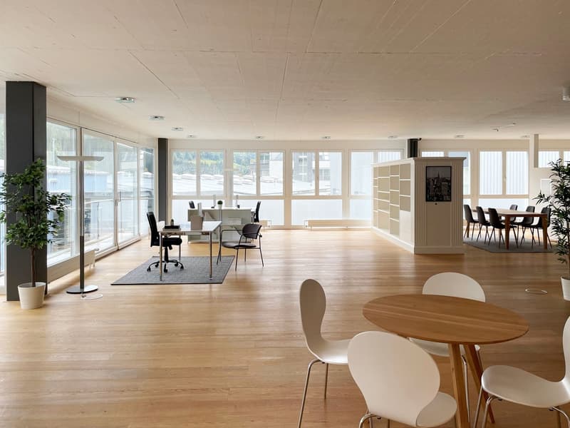 Helle Büro-/Gewerbefläche mit Sitzungszimmer, Küche und Nasszelle (WC und Badewanne) (1)