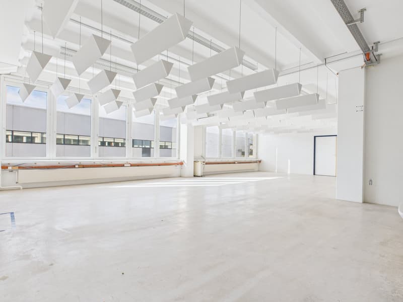 spacious room, white walls, large windows, concrete floor, modern lighting fixtures