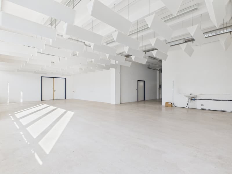 Empty room with white walls, concrete floor, two doors, two small boxes on the floor, one of them a sink, ceiling lamps