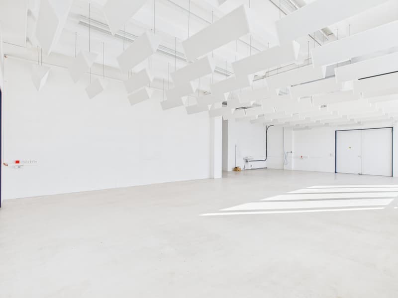 Empty room, white walls, ceiling with hanging lights, electrical outlets, door