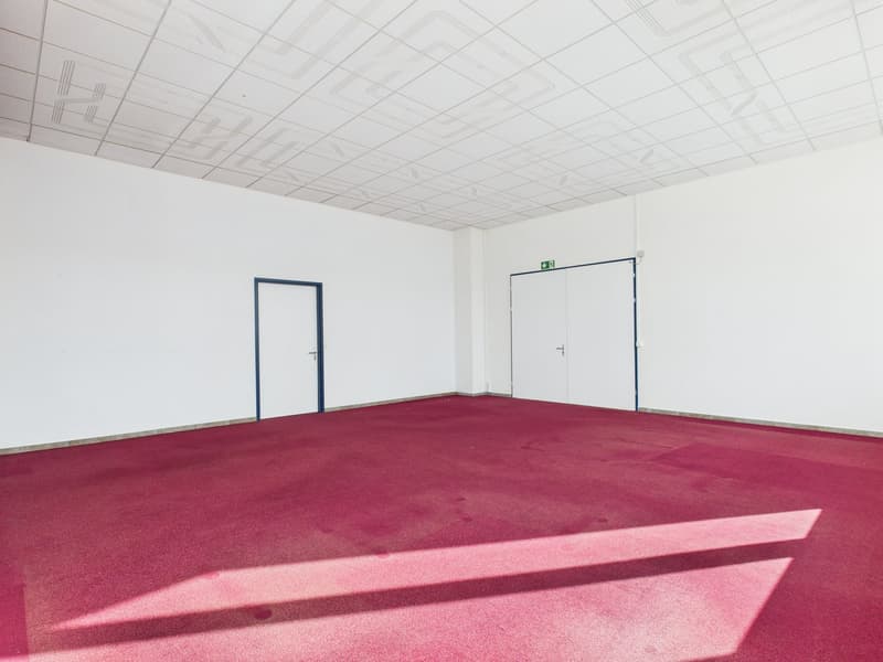 Empty room with white walls, ceiling, red carpet, 2 doors