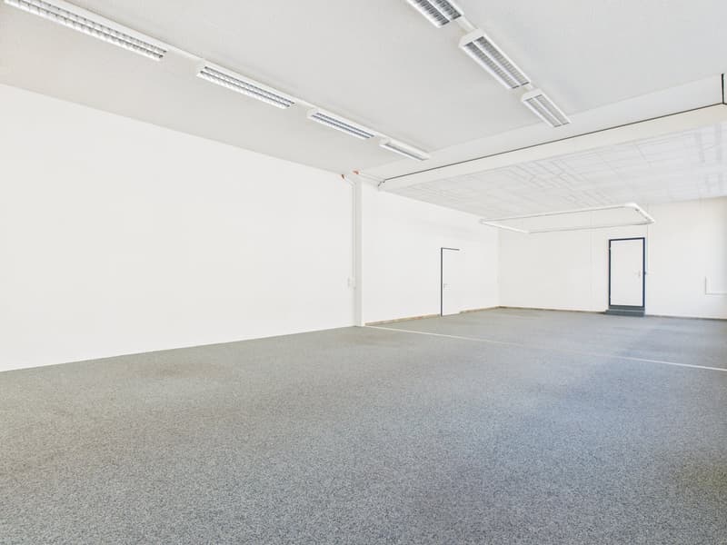 empty room, white walls, gray floor, recessed ceiling lighting