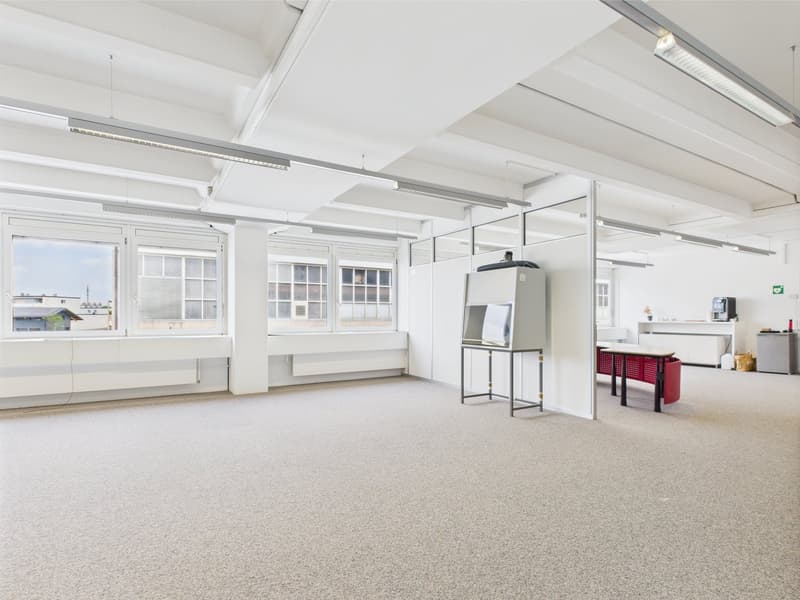Spacious room, multiple windows, ceiling with lights, desk, small shelf, no furniture