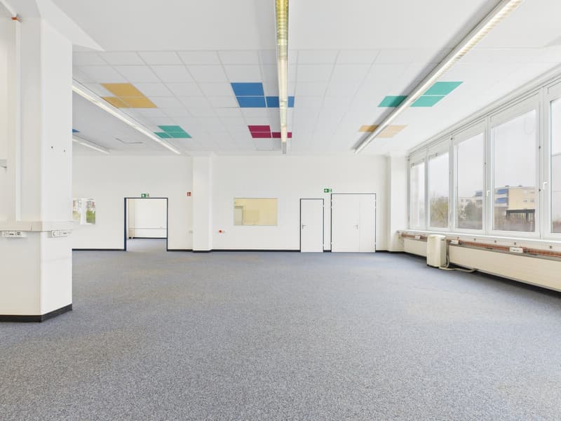 350m2 d'espace de bureau polyvalent (cabinet, garderie, kinésithérapie) (6)