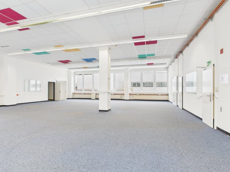 empty room, grey carpet, glass windows, fluorescent lights