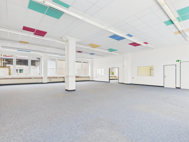 Open floor plan, large empty space, square ceiling tiles with color accents, fluorescent ceiling lights, double glass doors, large windows with white shutters