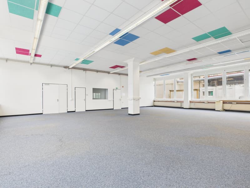Large room with a white ceiling, grey carpet, multiple doors, and white walls.