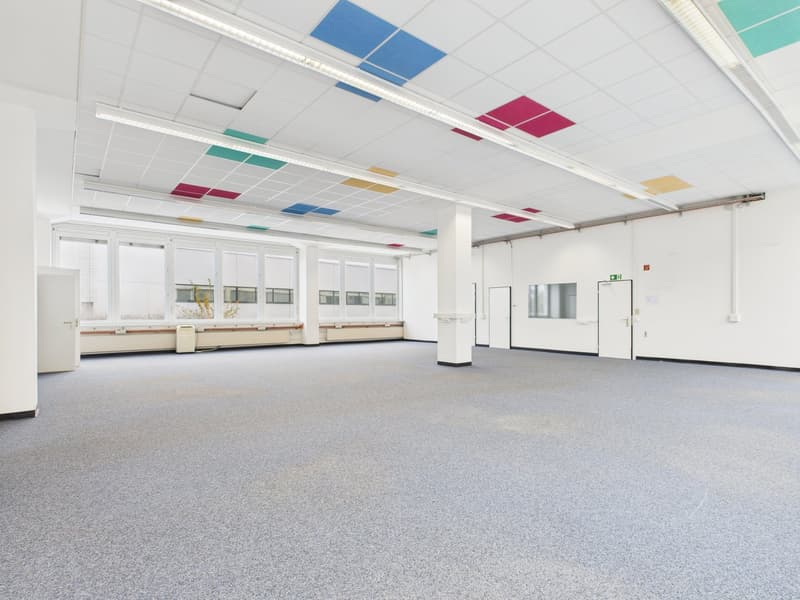 large open space, neutral color palette, windows, ceiling with square tiles, ceiling lights
