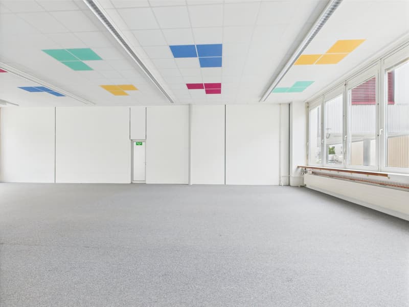 Empty room, gray carpet, white walls, colored ceiling panels, large windows, white door, and wall radiator