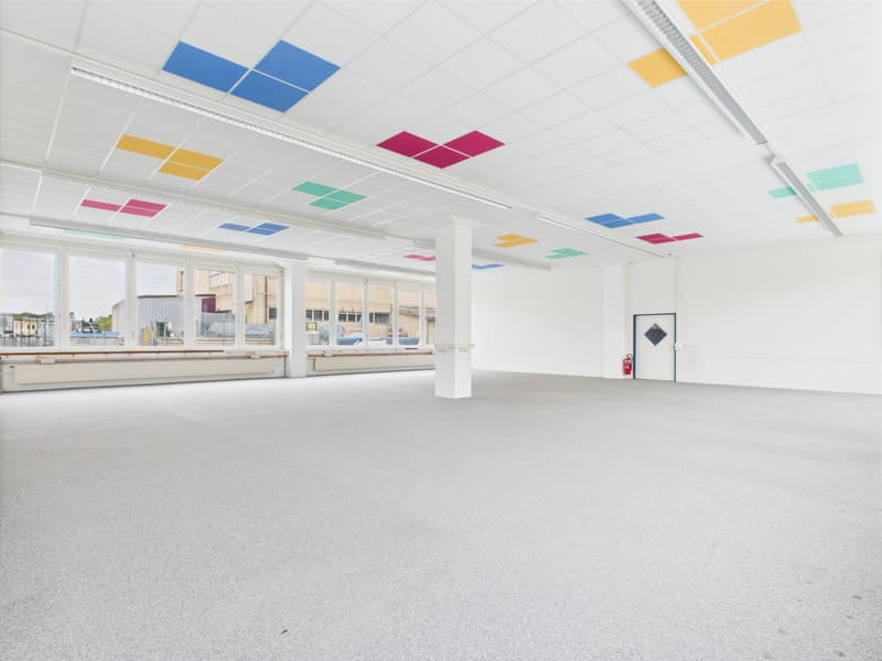 spacious room, large windows, white carpet, white walls, square ceiling tiles in multiple colors