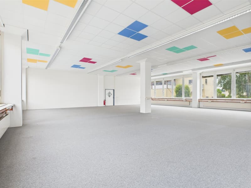 Empty room with white walls and ceiling, gray floor, square pattern on ceiling, two pillars, two doors, large windows, white radiators, fire extinguisher.