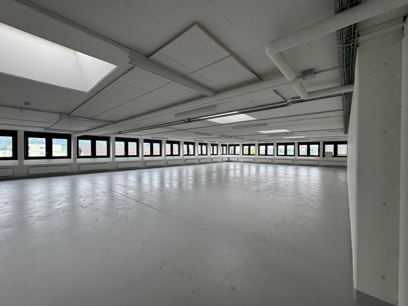 spacious, large windows, white floors, white walls, multiple lights installed on the ceiling