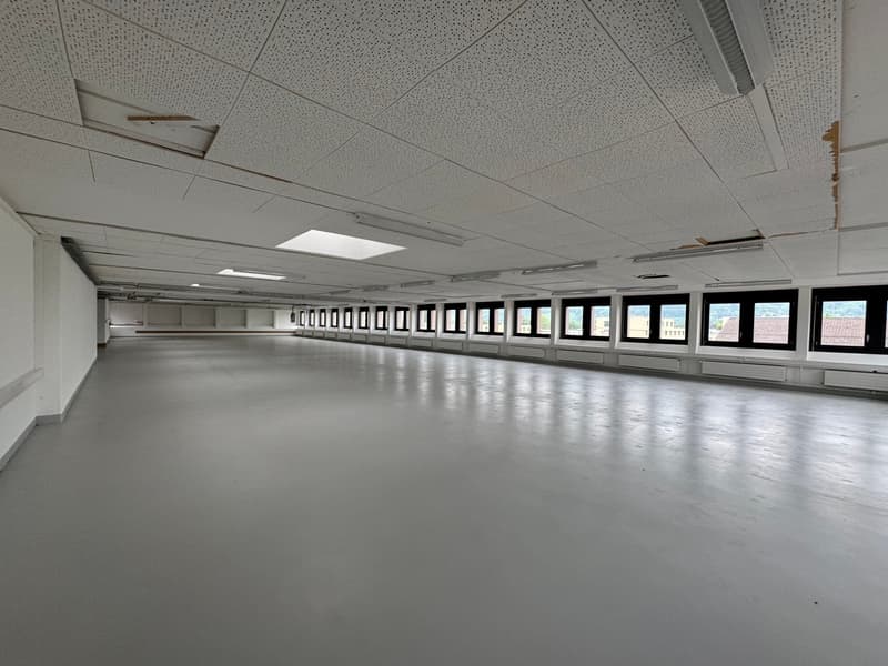 empty room, large windows, high ceiling, suspended lights