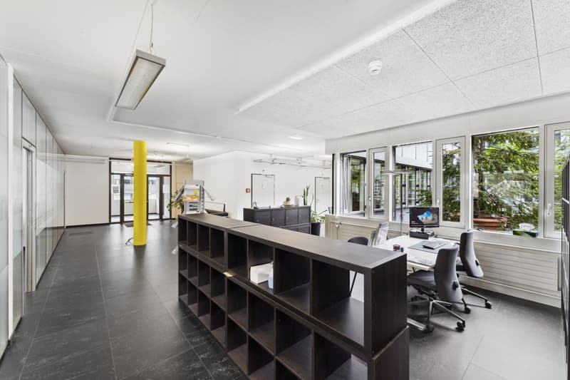 spacious office with large windows, glass walls, bookshelves, chairs, computers, plants