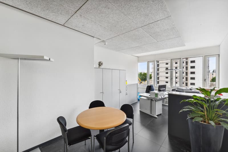 white walls, wooden table, white desks, black chairs, grey flooring, potted plant