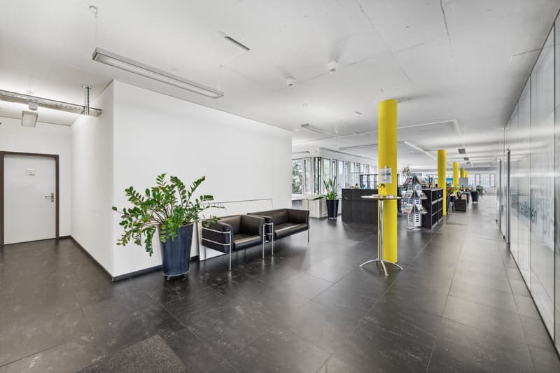 Corridor with modern decor, black flooring, white walls, bright lighting, yellow poles, office furniture, potted plants