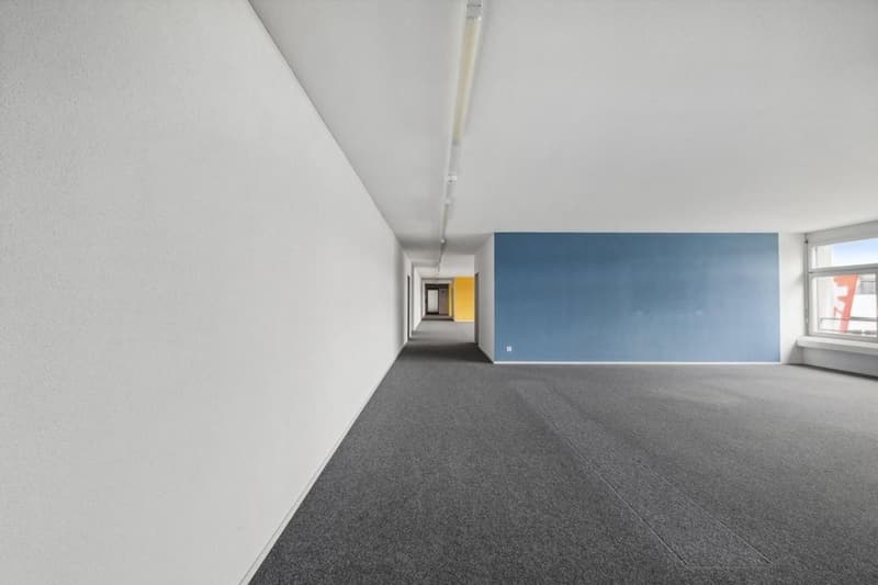 gray carpet, white walls, blue accent wall, window