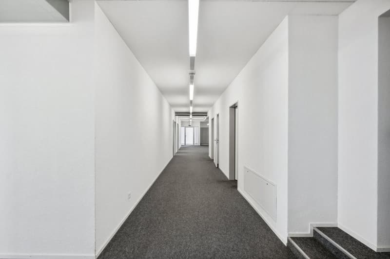 empty office hallway, white walls, gray carpet, white ceiling