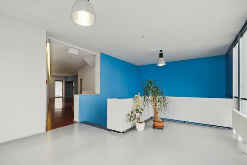 minimalist interior, white and blue walls, modern lamps, decorative plants, entrance and doorway