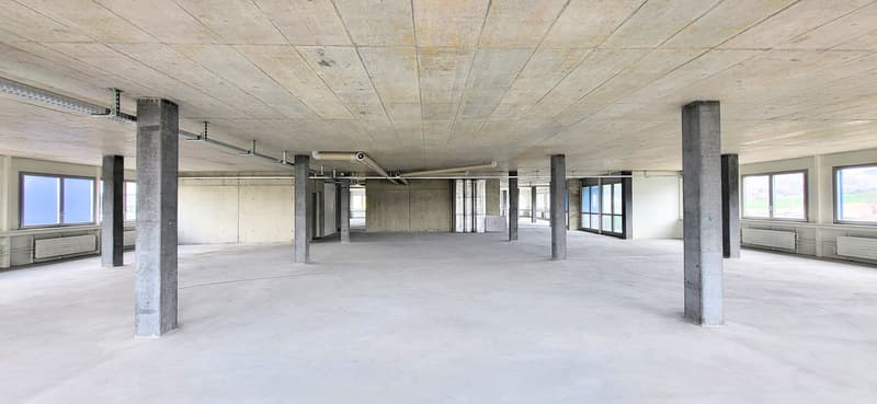 Large open room, concrete pillars, large windows, exposed beams, radiators