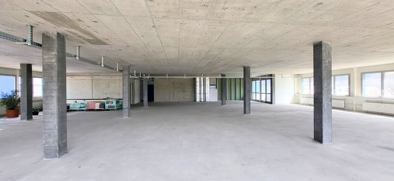 Empty room with concrete columns, walls and ceiling, large windows, plants in the corner.
